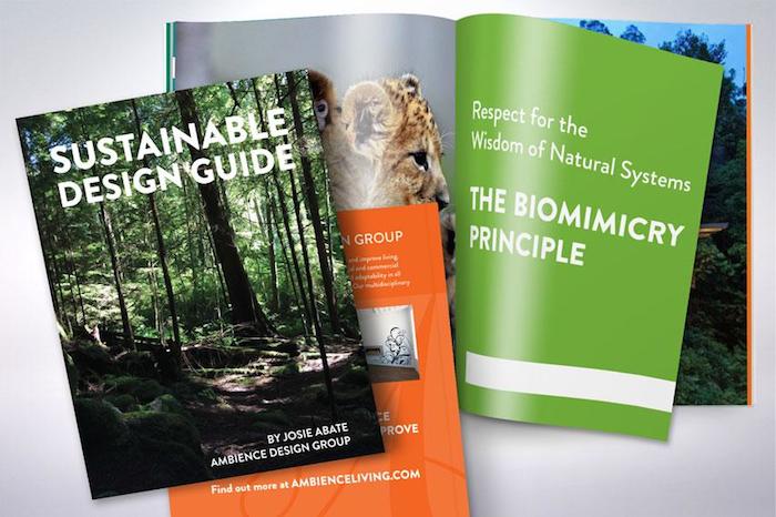 Sustainable Design Group