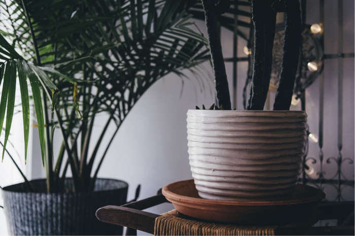 Top Home Decor Trends For 2017