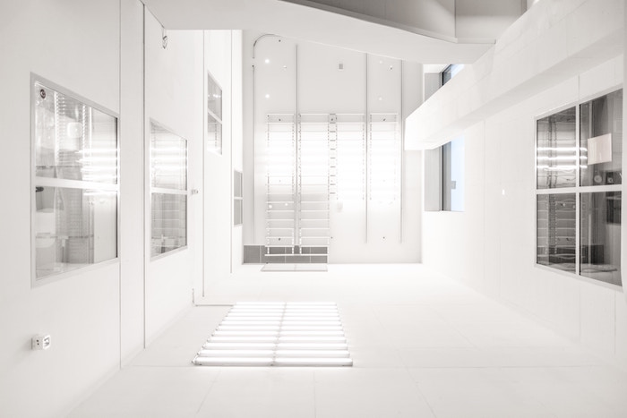 How to Make Your Basement Remodeling Project A Success