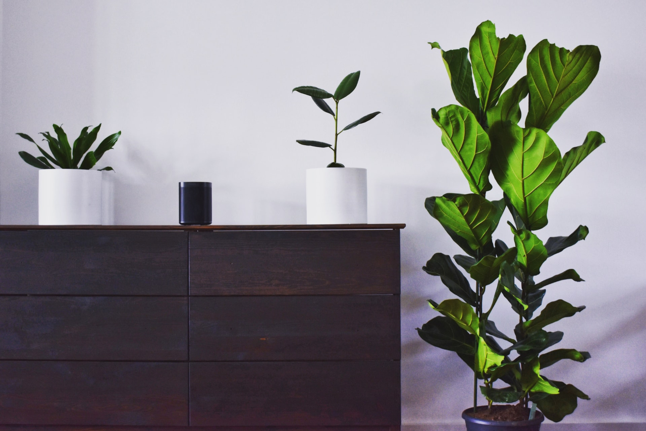 5 Amazing Eco-Friendly Upgrades That Will Make Your Home More Modern and Sustainable