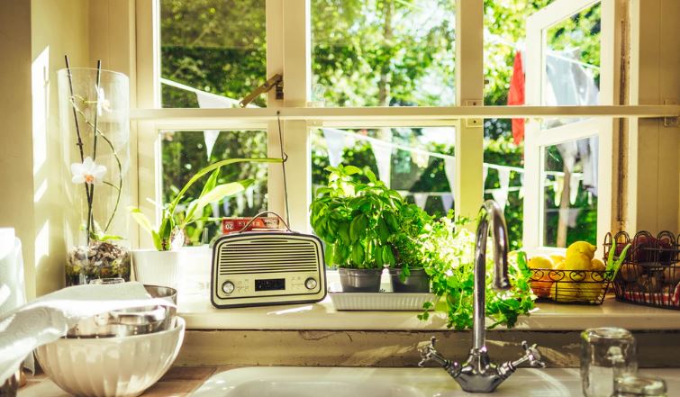 The Art of Composting: How to Turn Kitchen Scraps into Garden Gold