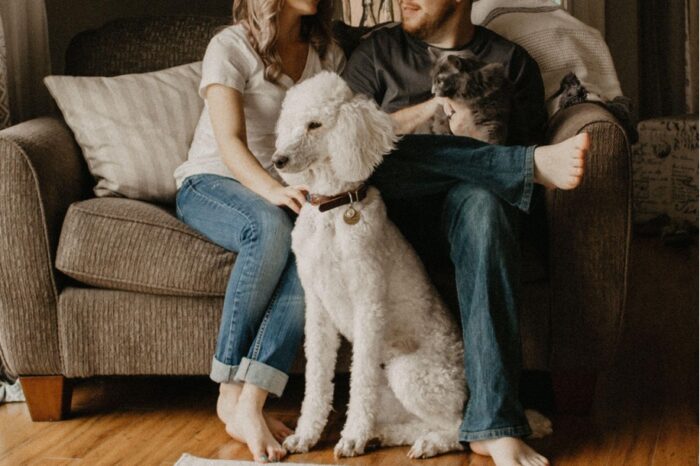 How to Keep A Small Space Feeling Fresh When You Have Pets