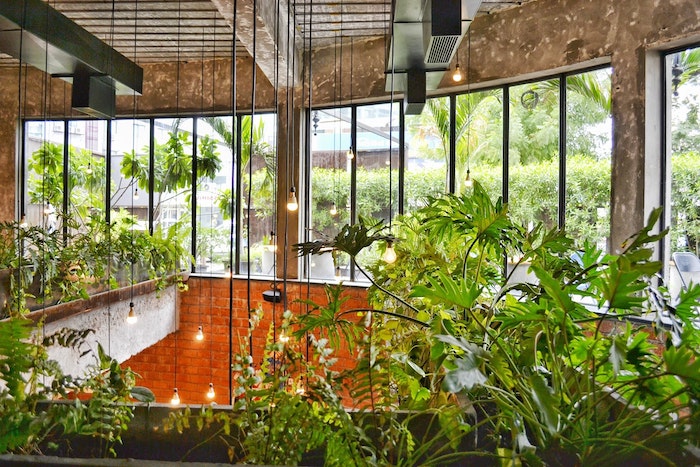 Indoor Air Quality Solutions – That Actually Work