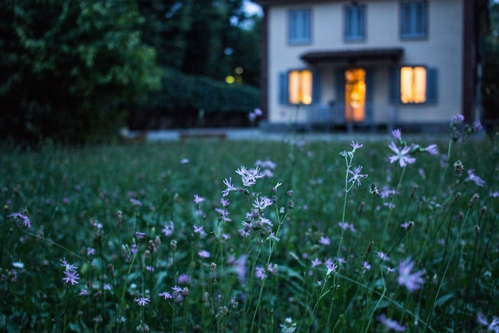 Tips for an Eco-Friendly, Summer Home
