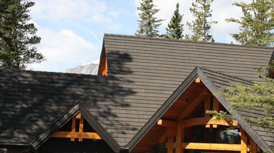 Euroshield Roofing: The Eco-Friendly Solution for a Greener Roof
