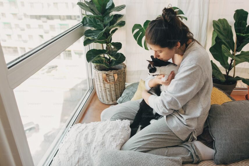 Why Emotional Support Cats Are Perfect for Apartment Living
