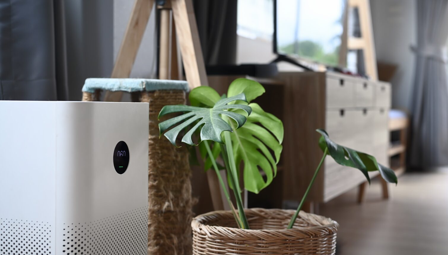 7 Luxury Touches That Transform Your Home’s Air Quality