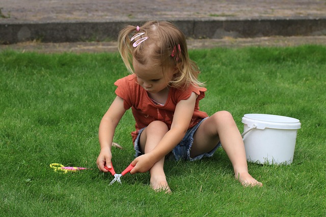 Designing a Family-Friendly Backyard: Ideas for Style and Comfort